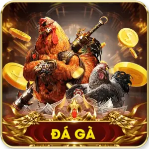 Đá gà on68